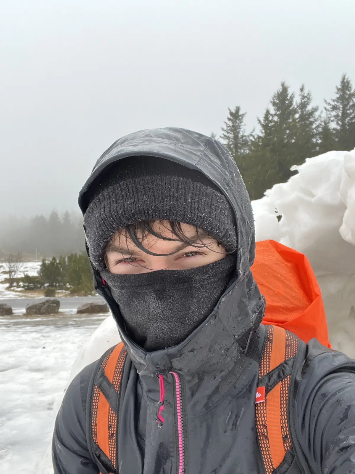 Photo 1: Onyr in the icy mists of Mount Aigoual, Gard department, France.